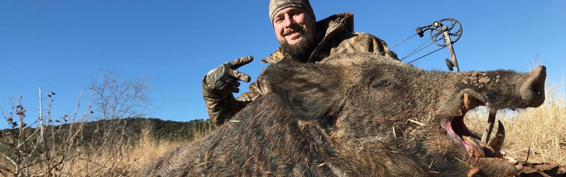 Affordable Texas Hog Hunting Packages All Inclusive Cheap Hog Hunts Affordable Texas Hog Hunting Packages All Inclusive Cheap Hog Hunts